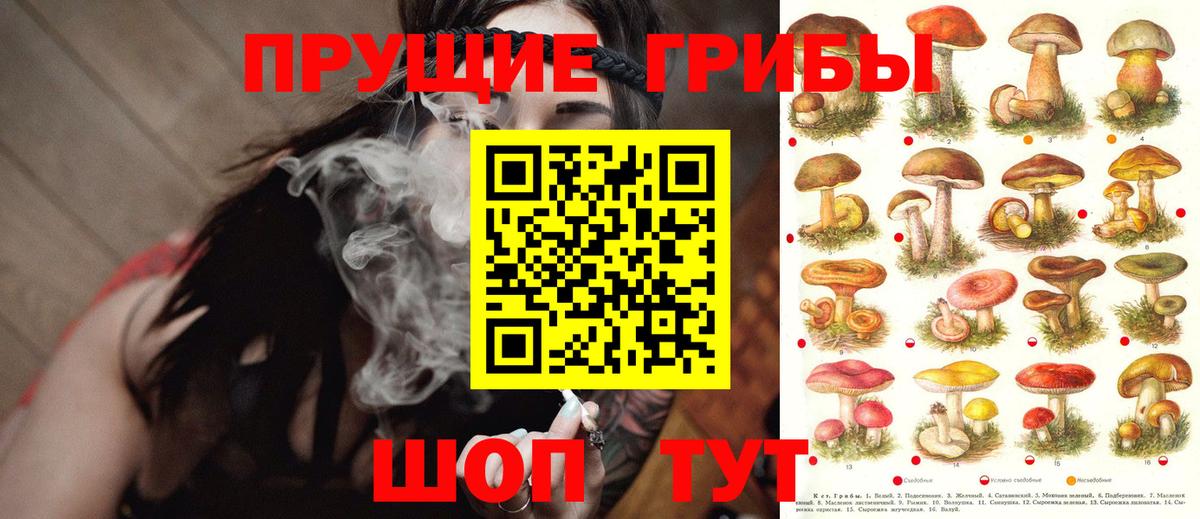Галлюциногенные грибы MAGIC MUSHROOMS Сухой Лог